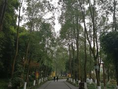 -邓小平故里