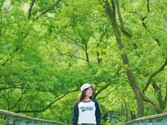 -西湖风景区-江洋畈生态公园