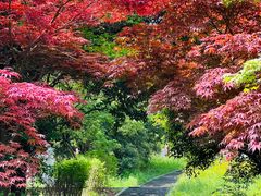 -浙江农林大学(东湖校区)