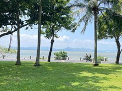 -深圳湾公园(南山区)