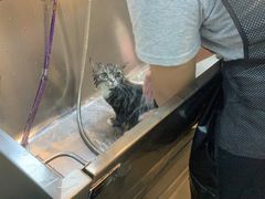 -PETKIT小佩宠物·低压洗护(国顺东路店)