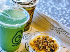 -油梨树AVOCADO TREE(嘉里中心店)