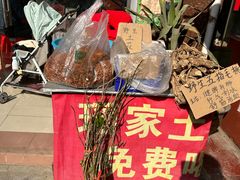 -长寿村