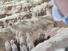 -秦始皇帝陵博物院-丽山园