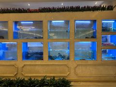 -皇朝尊会(龙之梦大酒店)