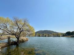 -南北湖风景区