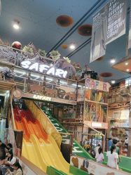 -卡通尼·Safari非洲探索乐园·生日会(金桥国际商业广场店)
