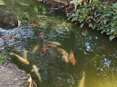 -珠海圆明新园