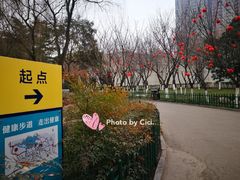 景点-西安市长乐公园