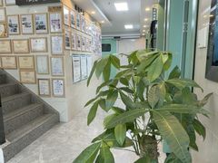 -半岛宠物医院24小时·内窥镜·牙科·碎石中心(府城大道店)