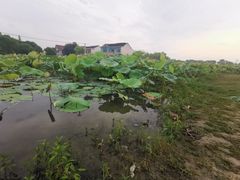 -梁鸿国家湿地公园