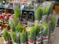 -盒马鲜生(顺义店)