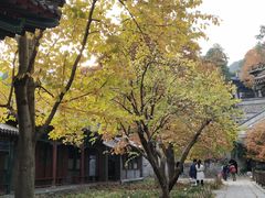 -香山公园-东宫门售票处