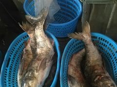 -海峡水产品交易中心(海鲜交易区)