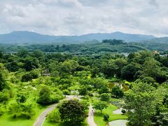-中国科学院西双版纳热带植物园