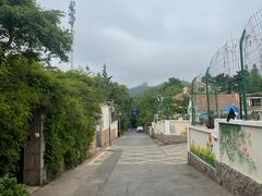 -八大关景区