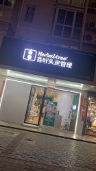 -菩叶脱发白发中心
