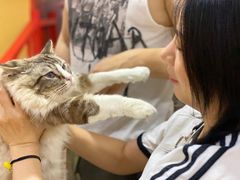 -白兔子密室(长寿路店)