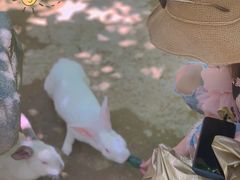 -栾川竹海野生动物园