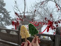 -终南山南五台景区