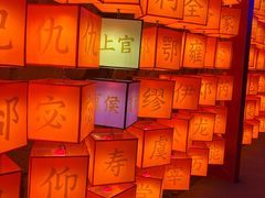 -龙湾潭国家森林公园