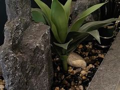 -蜀厨小匠·民间川菜(犀浦店)