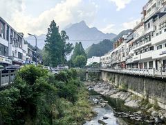 -自游人·美食一楼·地道徽菜(三十年名店)