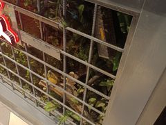 -湘当爱·鲜煮现炒(松岗立业路店)