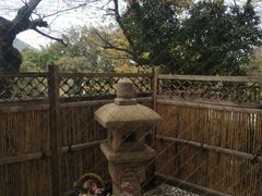 景观位-麦とろ専門店たむや