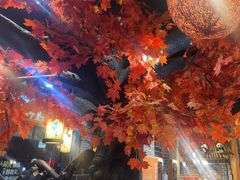 -廉恭蜀老成都火锅(善国大桥店)