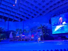 -海合安武汉极地海洋公园