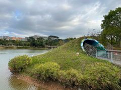-福田红树林生态公园