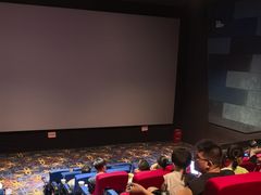 -龙之星国际影城(太平店)