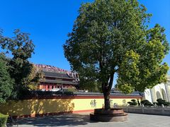 -上海东林寺(金山区)