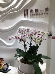 点击看大图 -和颜一美轻医美连锁
