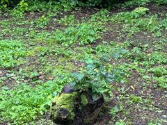 -长春净月潭风景名胜区