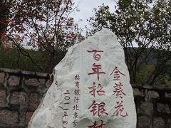 -北京十三陵国家森林公园蟒山景区