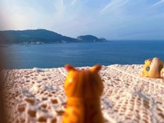 -威海国际海水浴场旅游区