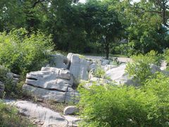 -原山国家森林公园