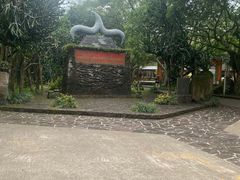 -海口火山口国家地质公园