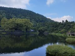 -庐山风景区花径公园