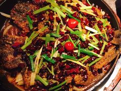 老板恋上鱼-老板恋上鱼(恒隆广场店)