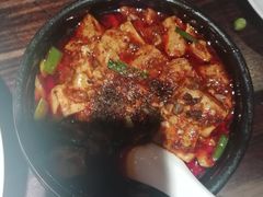 -陈麻婆豆腐总店