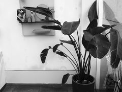 大堂-UNI UNI(环亚凯瑟琳店)