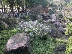 -白马涧龙池景区