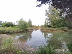 -淇河国家湿地公园