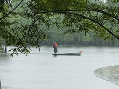 -白鹭湾湿地公园