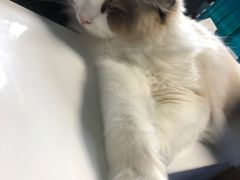 -零纪元VR体验馆·桌游(黄浦店)