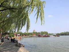 -洛阳市隋唐城遗址植物园