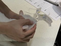-御宝贝24h宠物医院·转诊中心·CT核磁血透中心(厦门总院)